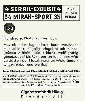 Reklamebild