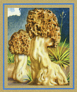 Reklamebild