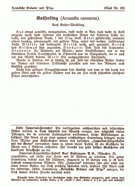 Reklamebild