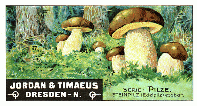 Reklamebild
