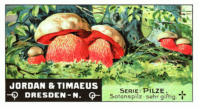 Reklamebild