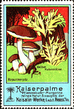 Reklamebild