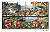 Reklamebild