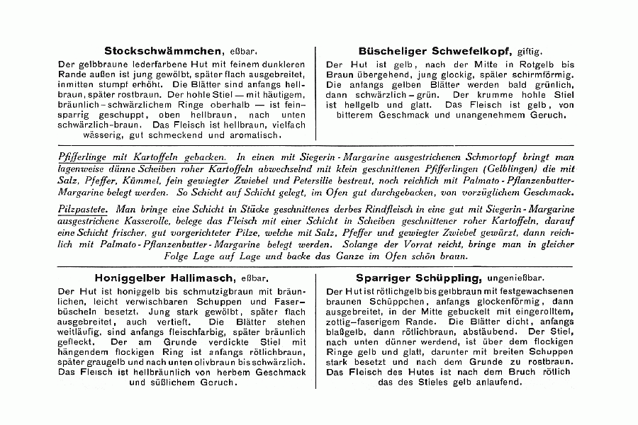 Reklamebild