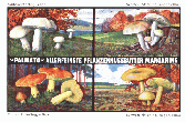 Reklamebild