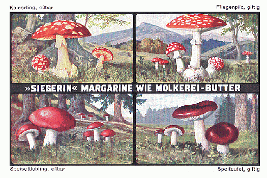 Reklamebild