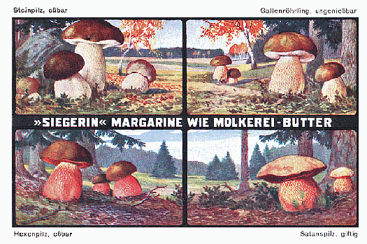 Reklamebild