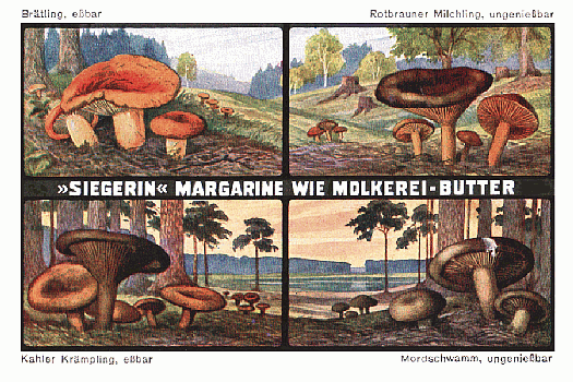 Reklamebild