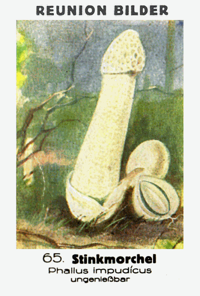 Reklamebild