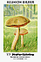 Reklamebild