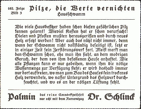 Reklamebild, R&uuml;ckseite