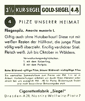 Reklamebild