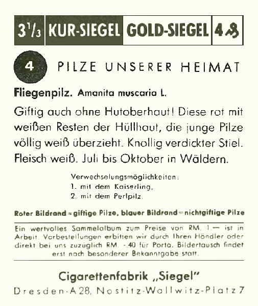 Reklamebild