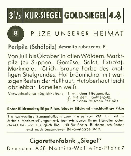 Reklamebild