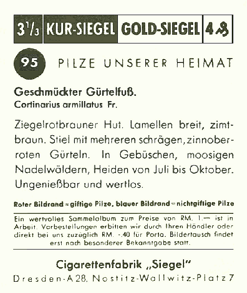 Reklamebild