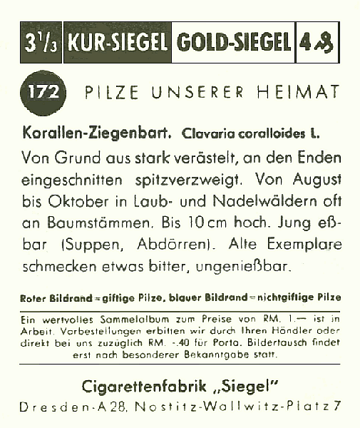 Reklamebild