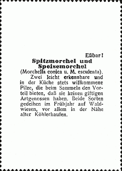 Reklamebild