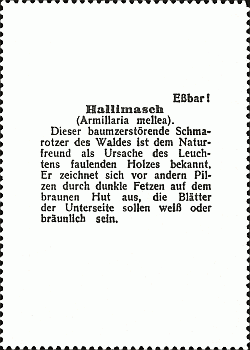 Reklamebild