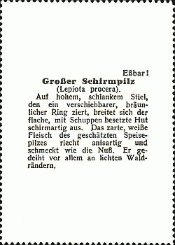 Reklamebild