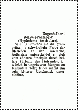 Reklamebild