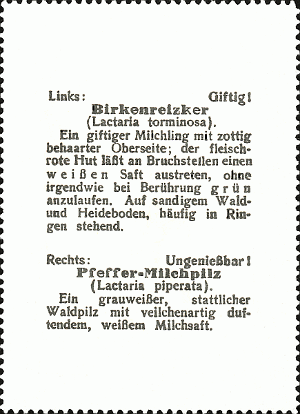 Reklamebild