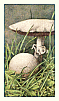 Reklamebild