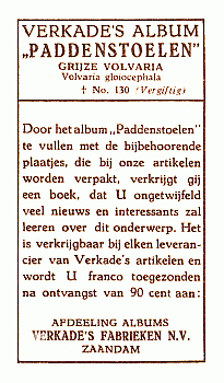 Reklamebild