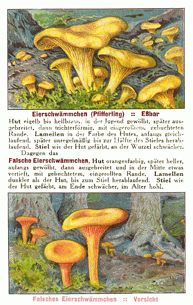 Reklamebild