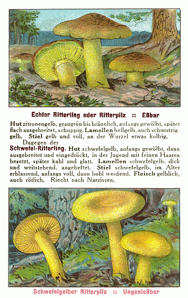 Reklamebild