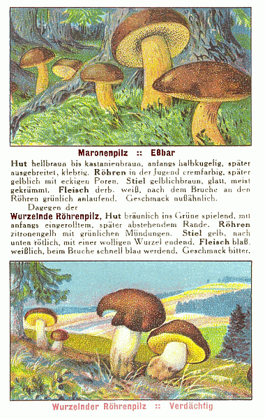 Reklamebild