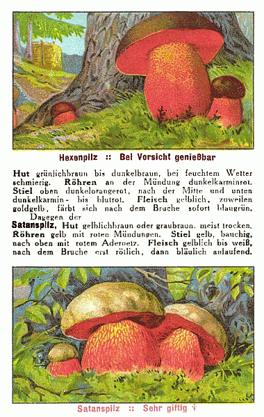 Reklamebild