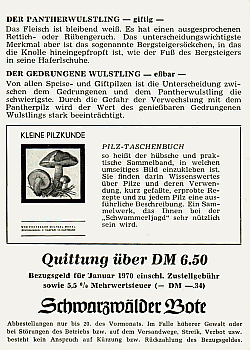Reklamebild