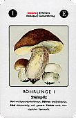 Spielkarte