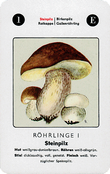 Spielkarte