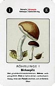 Spielkarte