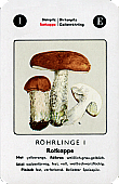 Spielkarte