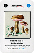 Spielkarte