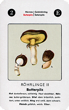Spielkarte