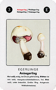 Spielkarte