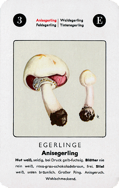 Spielkarte