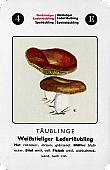 Spielkarte