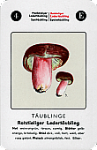 Spielkarte