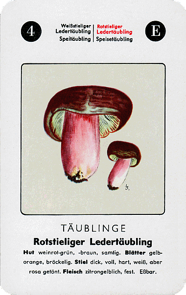 Spielkarte