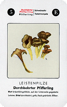 Spielkarte