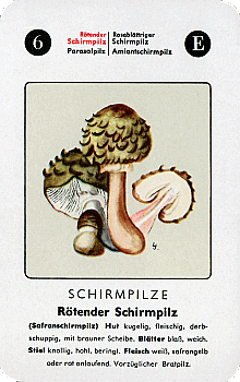 Spielkarte