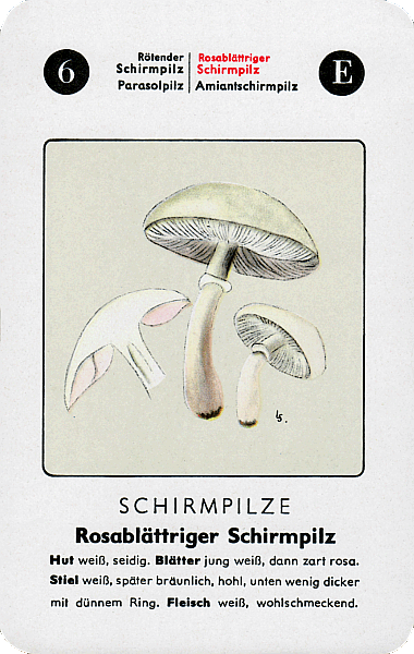 Spielkarte
