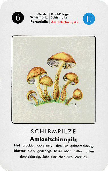 Spielkarte