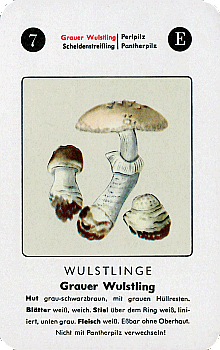 Spielkarte
