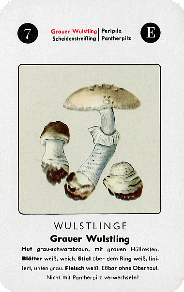 Spielkarte