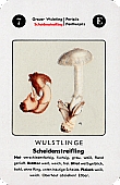 Spielkarte